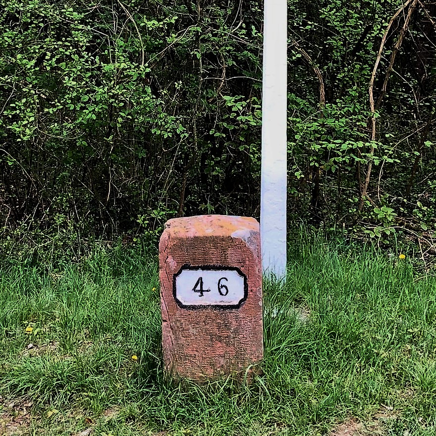 Fakten zur Zahl 46
