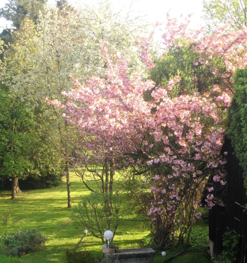 10 Fakten zum Monat April