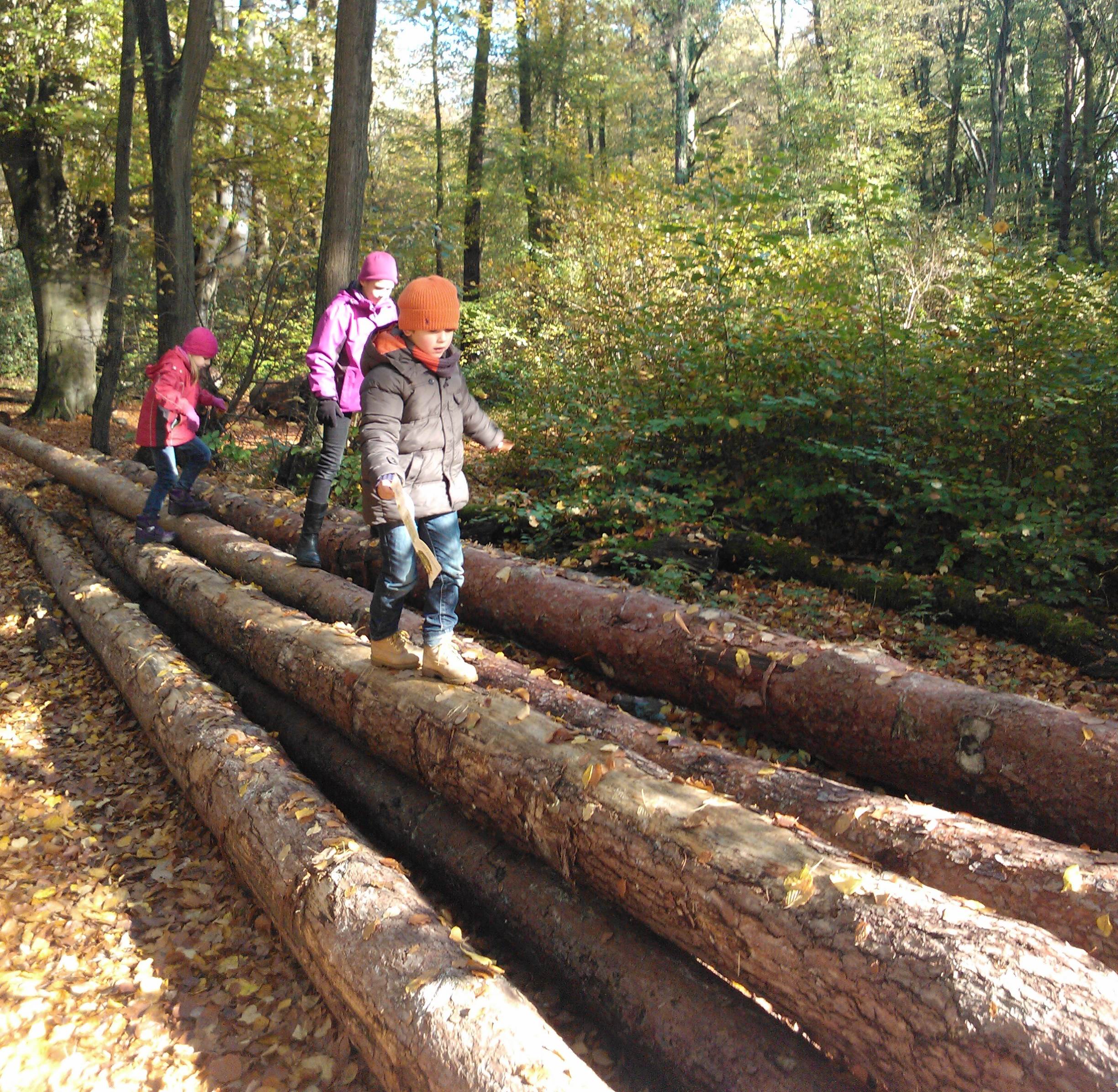 waldau-felix-waldlehrpfad-bonn