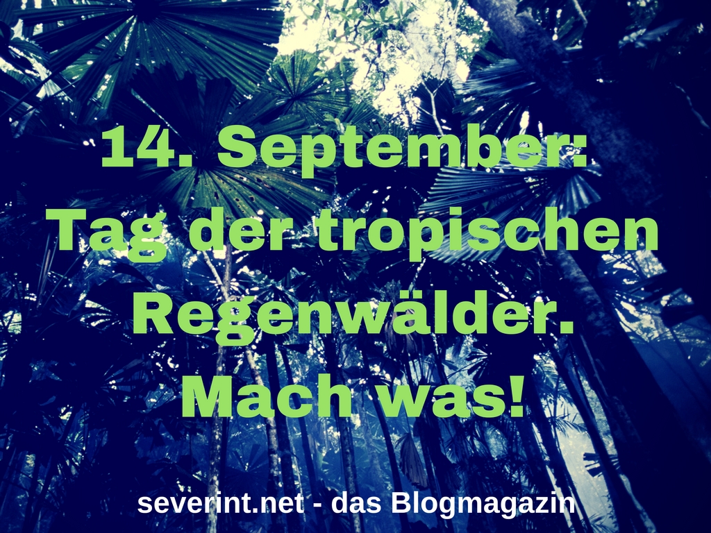 tag-der-tropischen-regenwaelder
