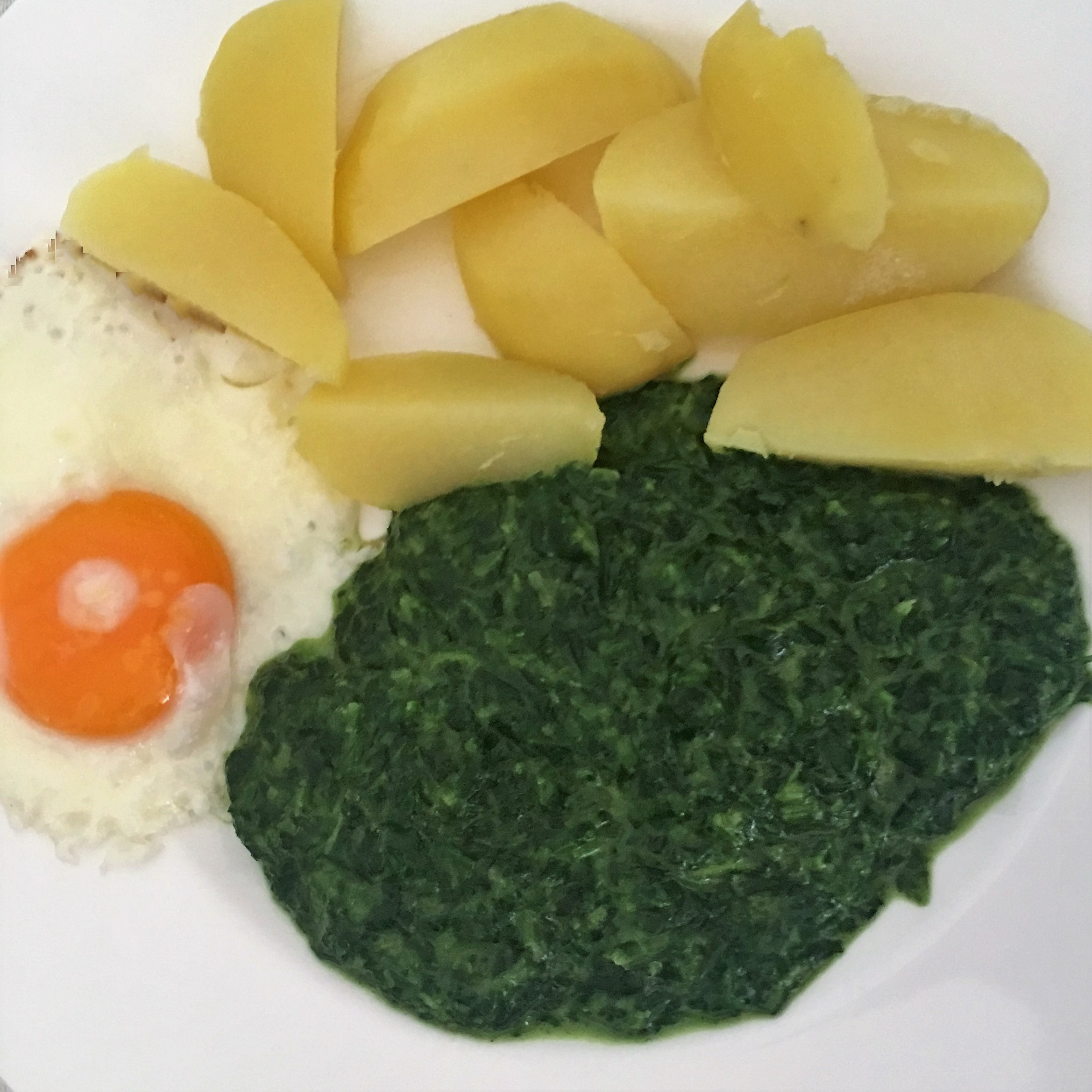 Mein Mittagessen: Spiegelei, Spinat, Kartoffeln - das BlogMagazin