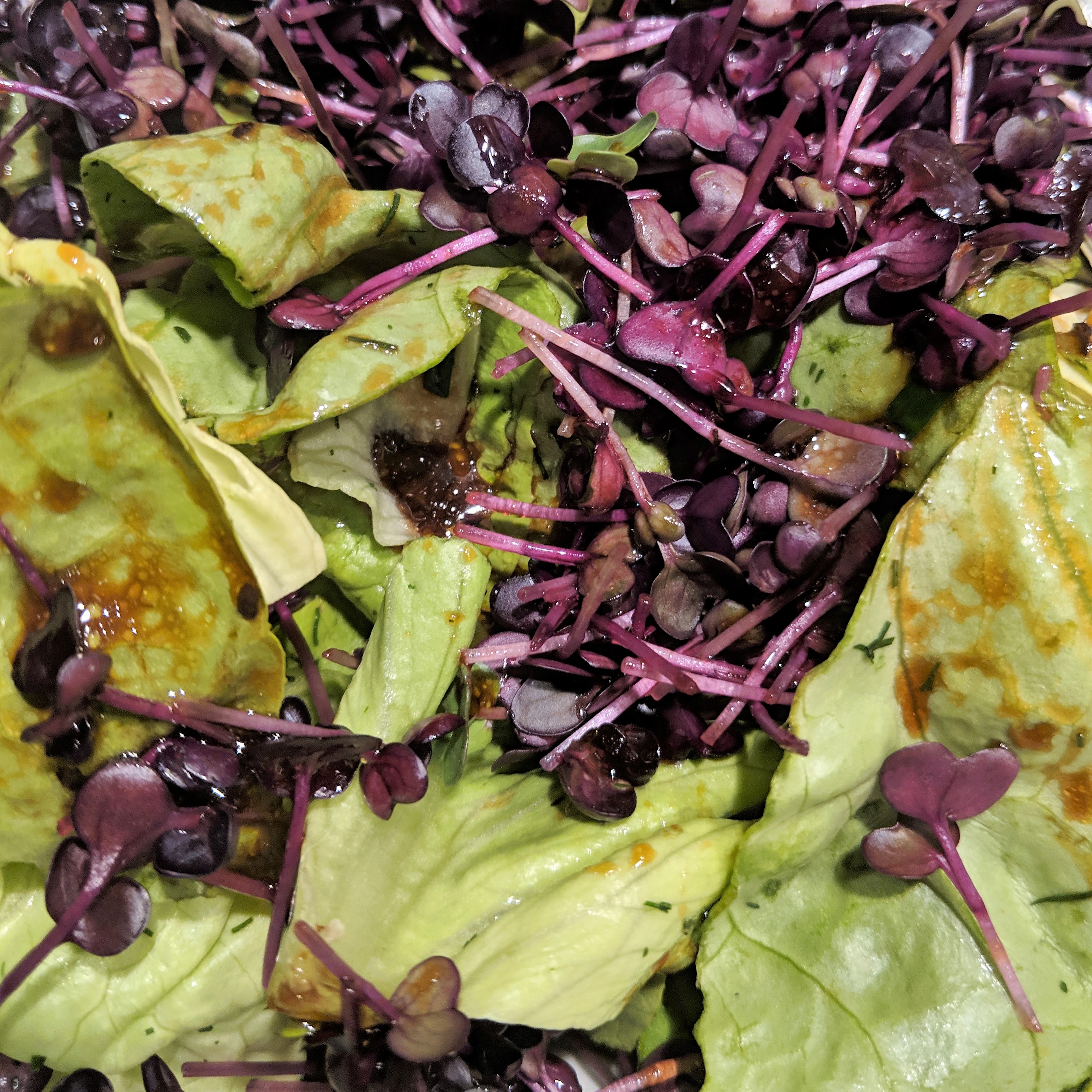 Rezept: Salat mit Rettichsprossen